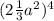 (2 \frac{1}{3} a^2)^4