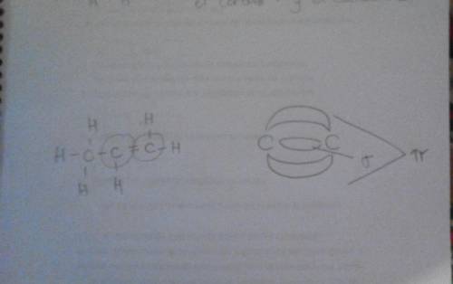 Tag all the carbon atoms with pi bonds in this molecule. if there are none,  check the box.