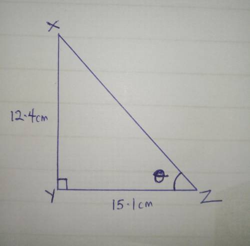 In right triangle xyz, the right angle is located at vertex y. the length of line segment xy is 12.4