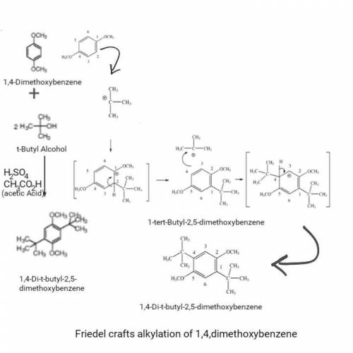 Write out a detailed mechanism for the friedel crafts alkylation of1,4,dimethoxybenzene including th
