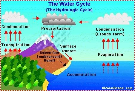 Explain how the water cycle is related to weather patterns and climate.