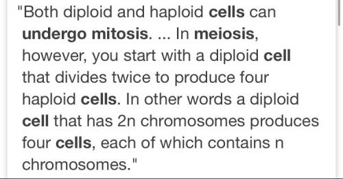 What is the outcome when a cell undergoes meiosis
