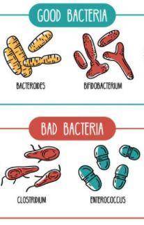 Which statement best describes bacteria?  a. bacteria are single celled prokaryotic organisms that c