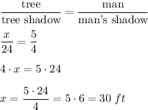 \dfrac{\text{tree}}{\text{tree shadow}}=\dfrac{\text{man}}{\text{man's shadow}}\\ \\\dfrac{x}{24}=\dfrac{5}{4}\\ \\4\cdot x=5\cdot 24\\ \\x=\dfrac{5\cdot 24}{4}=5\cdot 6=30\ ft