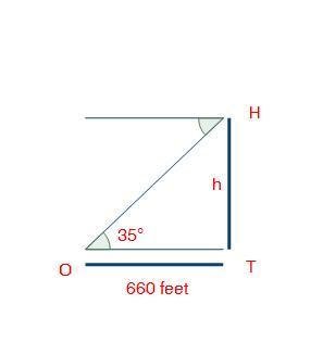 An observer (o) is located 660 feet from a tree (t). the observer notices a hawk (h) flying at a 35°