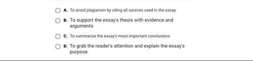 What is purpose of the body paragraph when writing an essay? ?