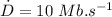 \dot D=10\ Mb.s^{-1}