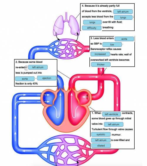 There is a note in Mr. G's chart that he had a color flow Doppler echocardiogram done to prepare for