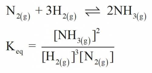 Consider the following chemical equilibrium:  N2(g) + 3H2(g) ⇌ 2NH3 Now write an equation below that