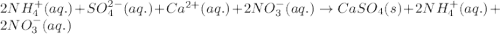 2NH_4^{+}(aq.)+SO_4^{2-}(aq.)+Ca^{2+}(aq.)+2NO_3^{-}(aq.)\rightarrow CaSO_4(s)+2NH_4^+(aq.)+2NO_3^-(aq.)