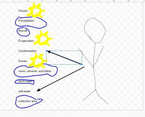 create a graphic organizer of the water cycle.  include these key terms: clouds precipitation runoff