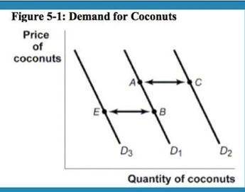 If coconuts are considered a normal good and there is an expectation on the part of consumers that t