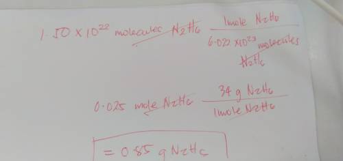 How many grams are there in 1.50x10^22 molecules of N2H6