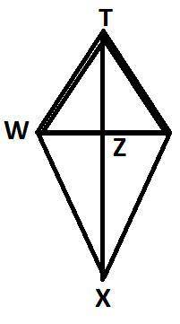 11. Given the kite shown below with TW=5 cm, TX = 12 cm and TZ = 4 cm. W Which of the following is c