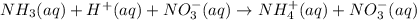 NH_3(aq)+H^+(aq)+NO_3^-(aq)\rightarrow NH_4^+(aq)+NO_3^-(aq)