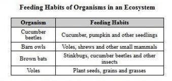 The table shows the feeding habits of four organisms in an ecosystem. Feeding Habits of Organisms in