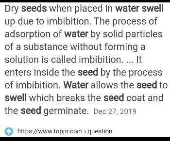 Dry seed when submerged in water soon swell up.why?​
