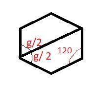 The dotted line evenly divides the regular hexagon in two halves, dividing angle g in half. Using gi