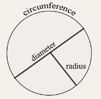 The radius of a circle is 1 yard what is the circle diameter