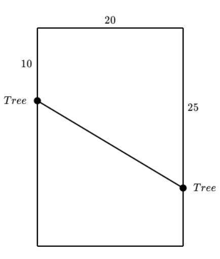 Ryan is putting a clothesline in his rectangular backyard. He wants to put it between two trees on t