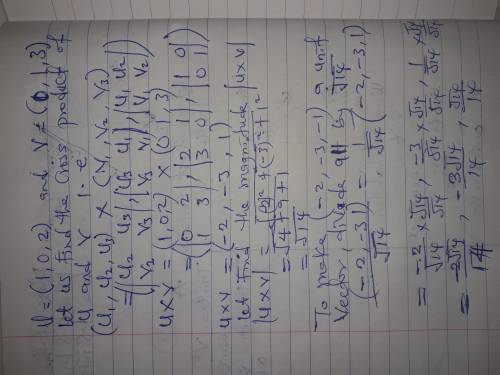 Find a unit vector that is orthogonal to both  u=(1,0,2) and v=(0,1,3) Enter the exact answers in as