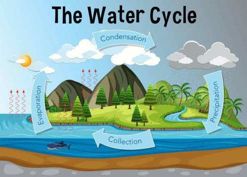 When water condenses in clouds to then precipitate as rain, it changes state from