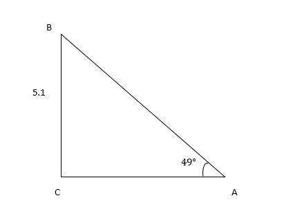 In ΔABC, the measure of ∠C=90°, the measure of ∠A=49°, and BC = 5.1 feet. Find the length of AB to t