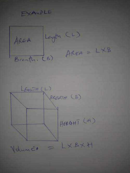 Evaluate and summarize the difference between volume and surface area? (explain the differences in w