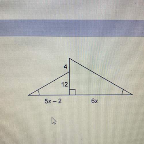 The two triangles are similar. what is the value of x?