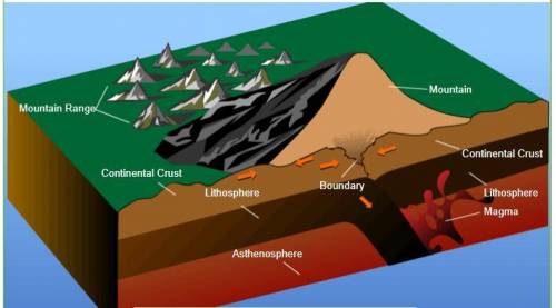 Mountain formation can result when which of the following occurs? A Two oceanic plates collide. B)Tw