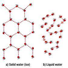 Explain why the arrangement of water molecules is different in ice and water