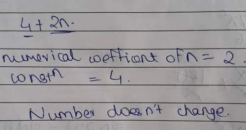 I need the help of identifying the constant term and numerical coefficient in this expression 4+2n