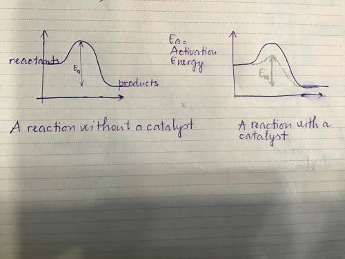 How does a catalyst increase the rate of a reaction?