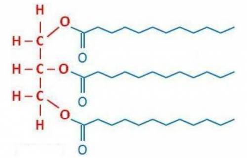 Which of the following biomolecules is best represented by this formula? A.  nucleic acid B.  protei