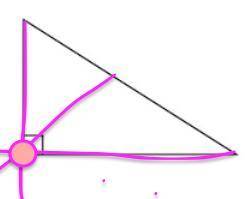 In which type of triangle is the orthcenter on the perimeter of the triangle