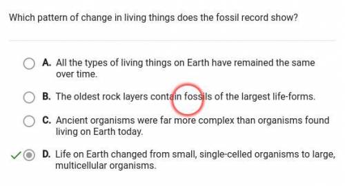 Which pattern of change in living things does the fossil record show?