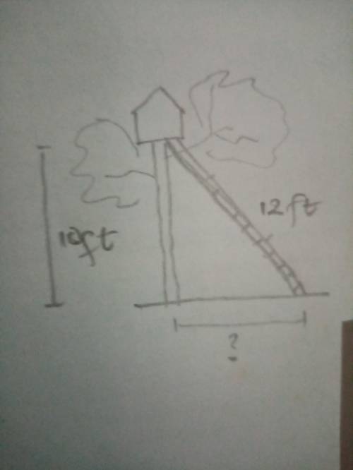 Option 3

Option 4
A tree house is 10 feet up in a tree. A ladder that leans against the tree and
le