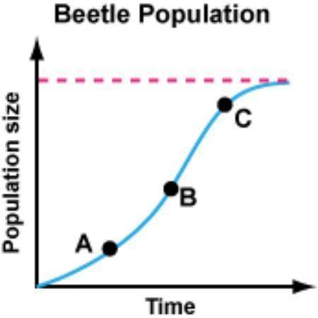 A population of beetles is kept in a controlled ecosystem. No beetles are

allowed to enter or leave