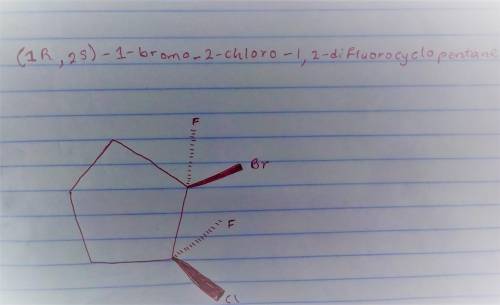 Draw every stereoisomer for 1-bromo-2-chloro-1,2-difluorocyclopentane. Use wedge-and-dash bonds for