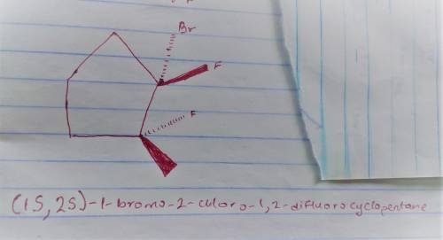 Draw every stereoisomer for 1-bromo-2-chloro-1,2-difluorocyclopentane. Use wedge-and-dash bonds for