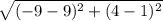 \sqrt{(-9-9)^2+(4-1)^2}