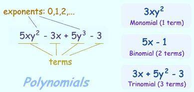 Complete the table by classifying the polynomials