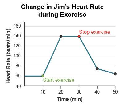 Jim’s heart rate was monitored during periods of exercise and periods of rest. the graph shows the r
