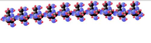 "the diagram shows a straight chain of glucose molecules. which polysaccharide is