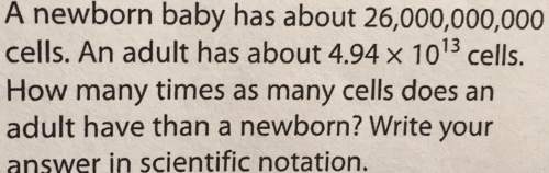Anewborn baby has about 26,000,000,000 cells. an adult has about 4.94 x 13 cells. how many times as