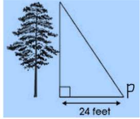The length of the shadow of a tree is 24 feet, the tan p = .7. write an equation involvi