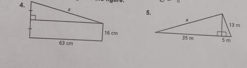 Find the missing length of the figure.