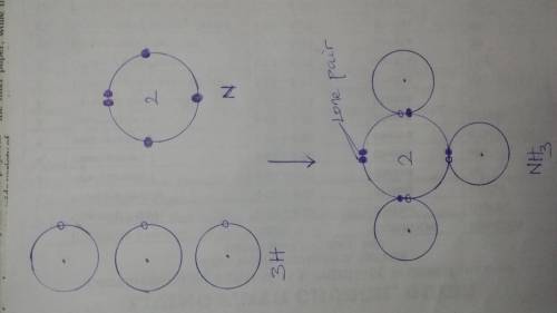 Determine the number of lone pair electrons on each H in NH3. Z of N= 7, H=1 A. 0 B. 3 C. 1 D. 2