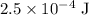 2.5 \times 10^{-4} \;\rm J