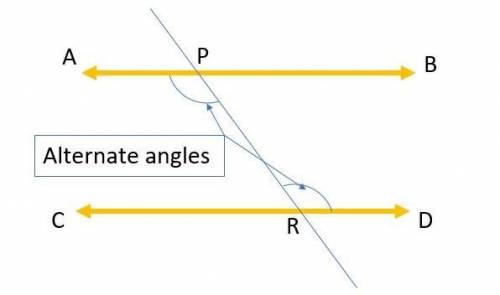 In the figure shown, line AB is parallel to line CD. Part A what is the measure of angle x. Part b e